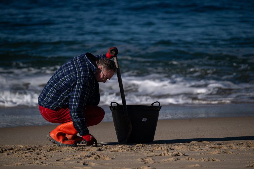 Greenpeace Pide Coordinación Para Enfrentar El Desastre De Los 'Pellets' De Galicia 1 Europapress 5673407 Voluntarios Hacen Recogida Pellets Arena Galicia Enero 2024 Coruna Galicia
