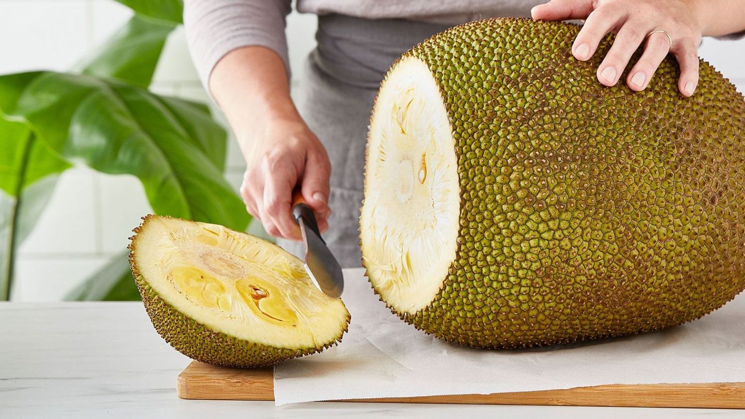 Una Mirada A Futuro: Sostenibilidad Y Nutrición