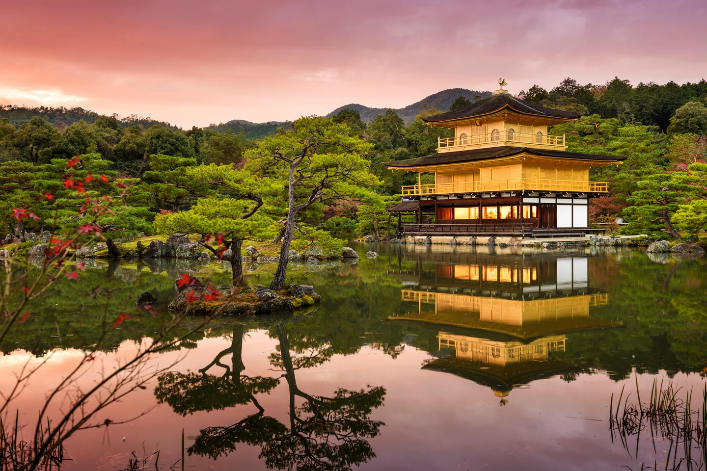 Kyoto, La Belleza De Japón 