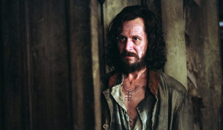 “Mediocre” los fans de Harry Potter no pueden explicarse que este actor juzgue así su actuación