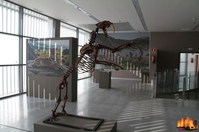 Museos en Orce: sumérgete en la prehistoria europea