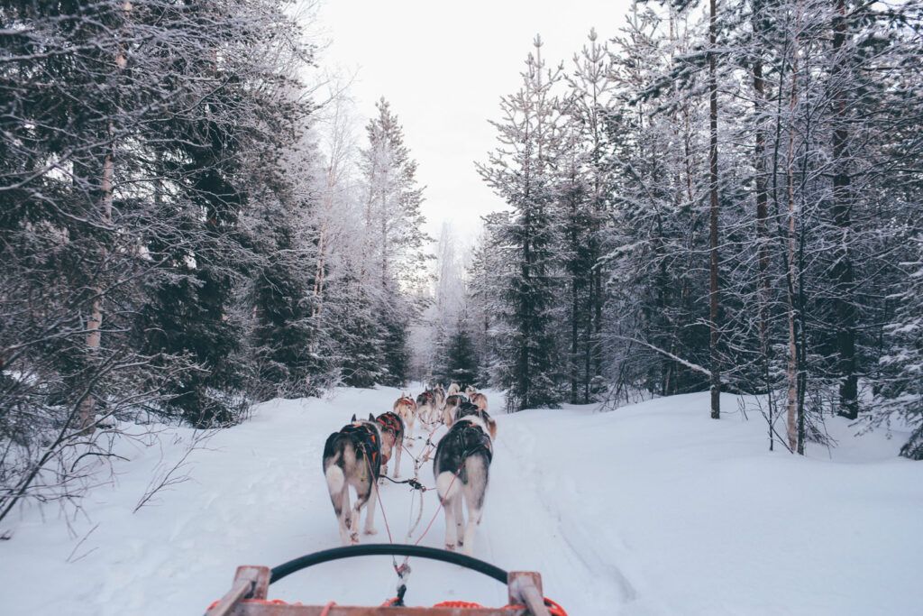 Descubre La Magia Invernal: Los Mejores Sitios Para Visitar En Laponia En Invierno 2 Rovaniemi Finlandia 2 1024X683 1