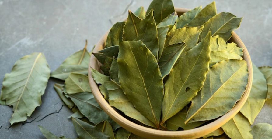 laurel