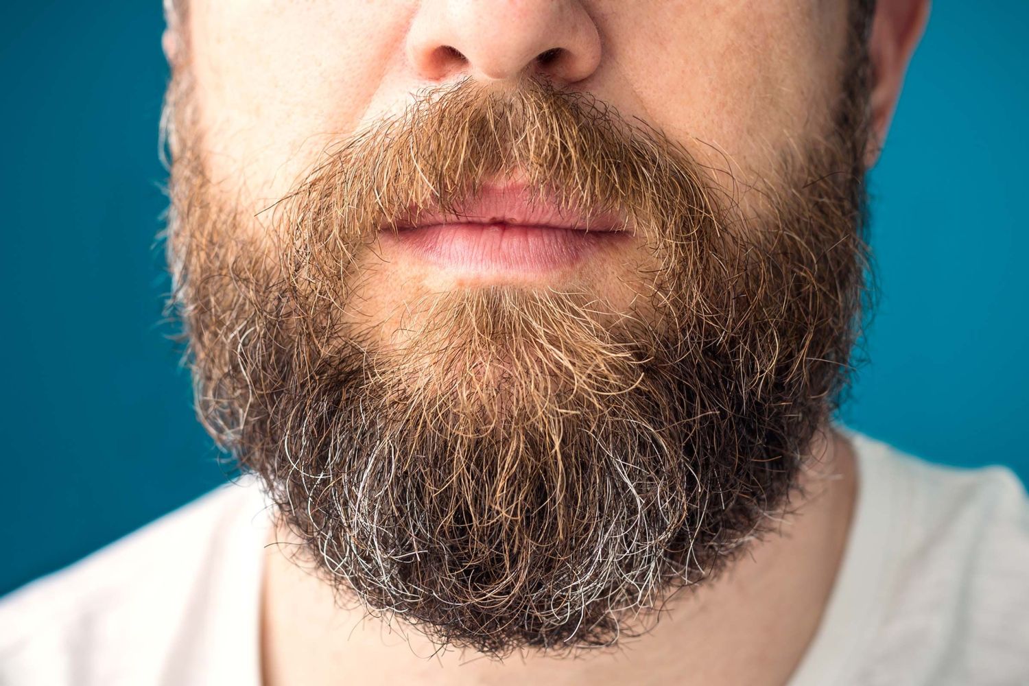 La Barba Perfecta