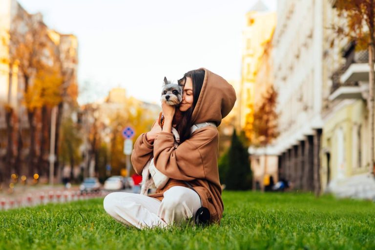 Descubrir las increíbles becas de El Perro Feliz y emprender el camino a la felicidad