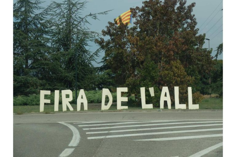 Entrevista a la autora del libro ‘Tierra, frutos y un brindis’, Sandra Llubiá Arnal Maristany