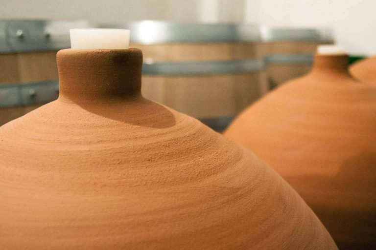Bodegas Vegalfaro, una de las bodegas de vino de España de producción ecológica, presenta el vino como forma de vida