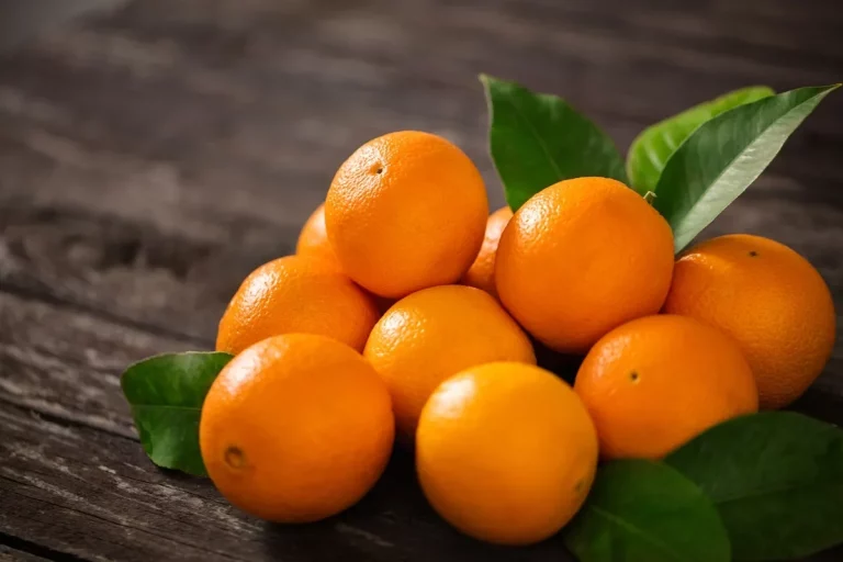 Naranjas frescas directamente del agricultor en 24h junto con aguacates y limones