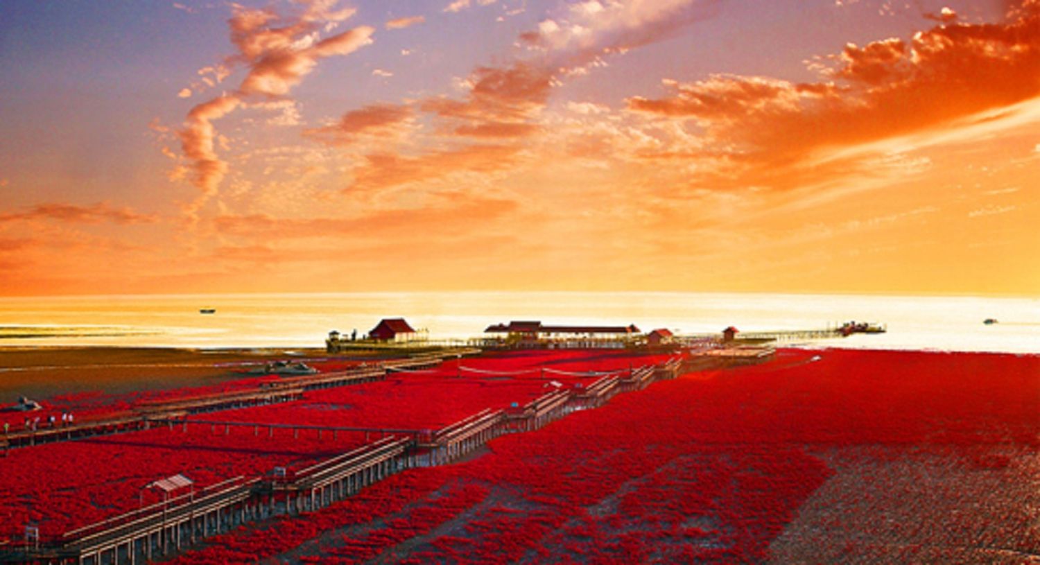 Esta Alucinante Playa Roja Parece De Otro Planeta, Pero Está En China Y Cumple Una Función Clave 3 Los Desafíos De La Conservación