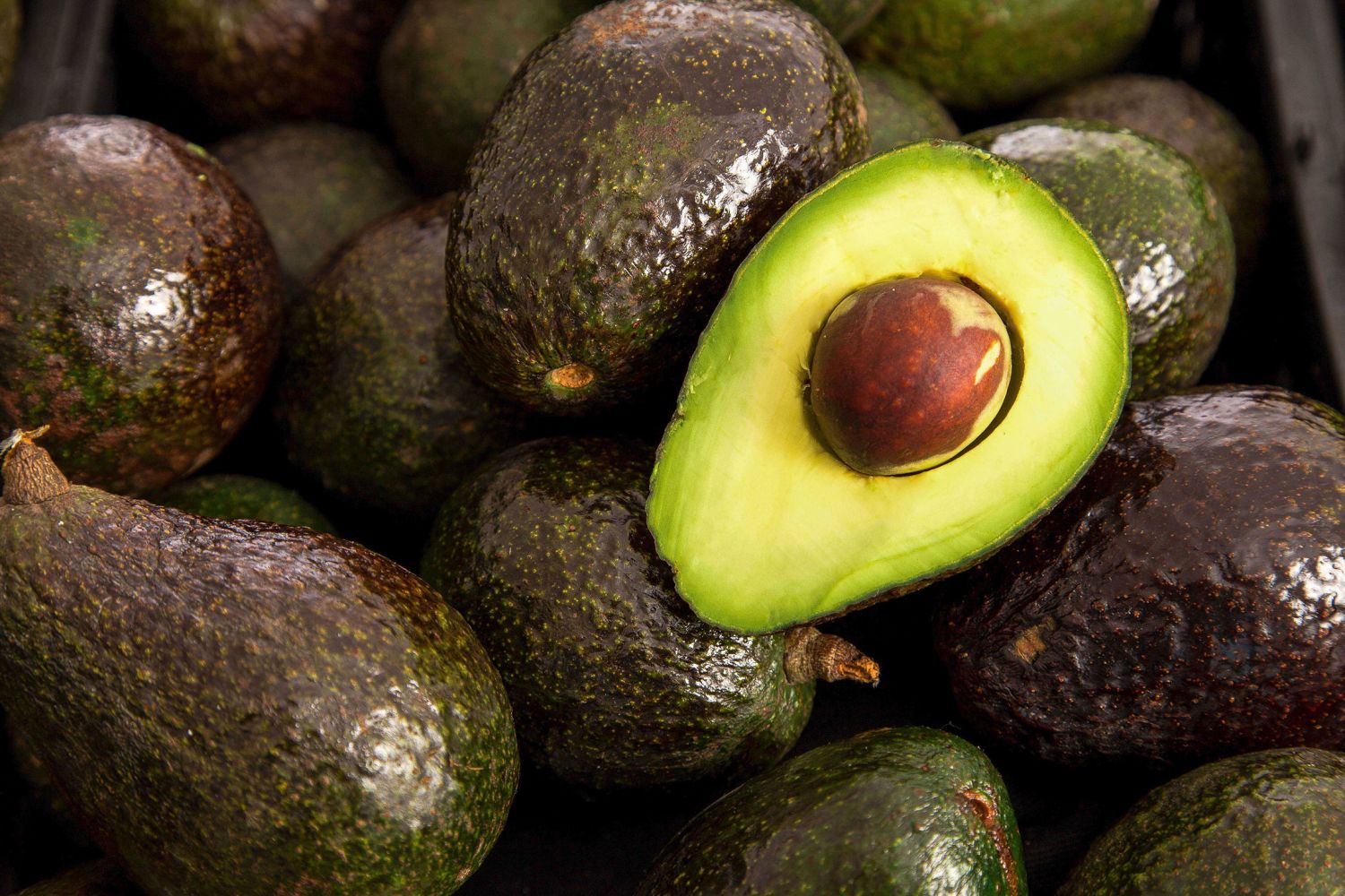 El Aguacate Más Allá De La Ingesta: Usos Alternativos