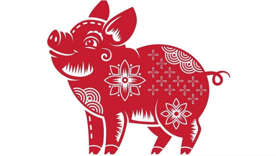 Cerdo