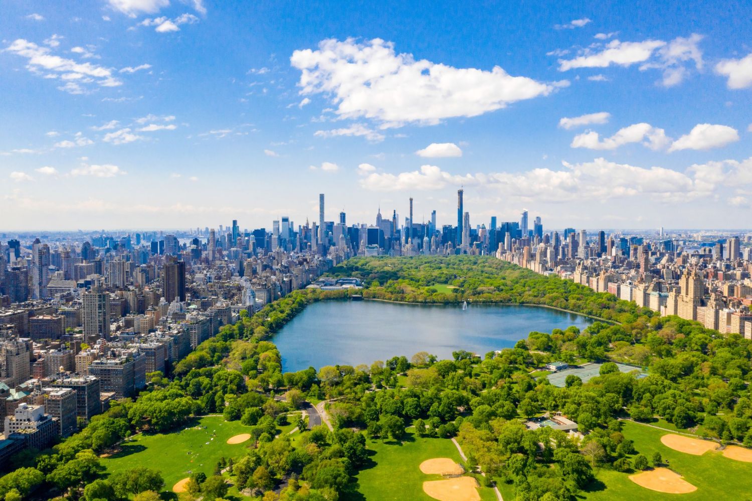 Un Paseo Por El Pulmón Verde: Central Park