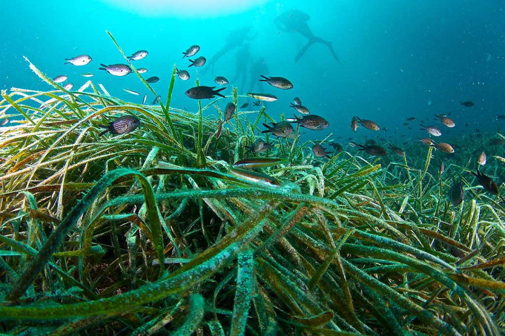 El Rol De Las Autoridades: Desafíos Y Compromisos En La Protección Del Medio Ambiente