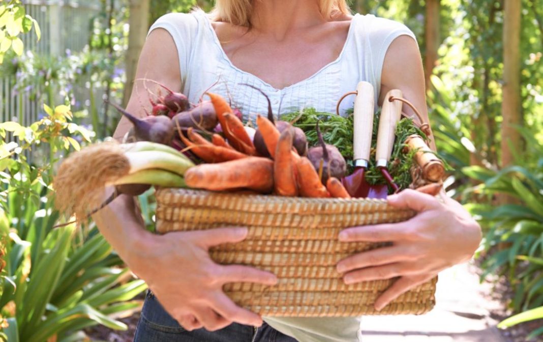 Expansión del mercado de alimentos veganos en los supermercados