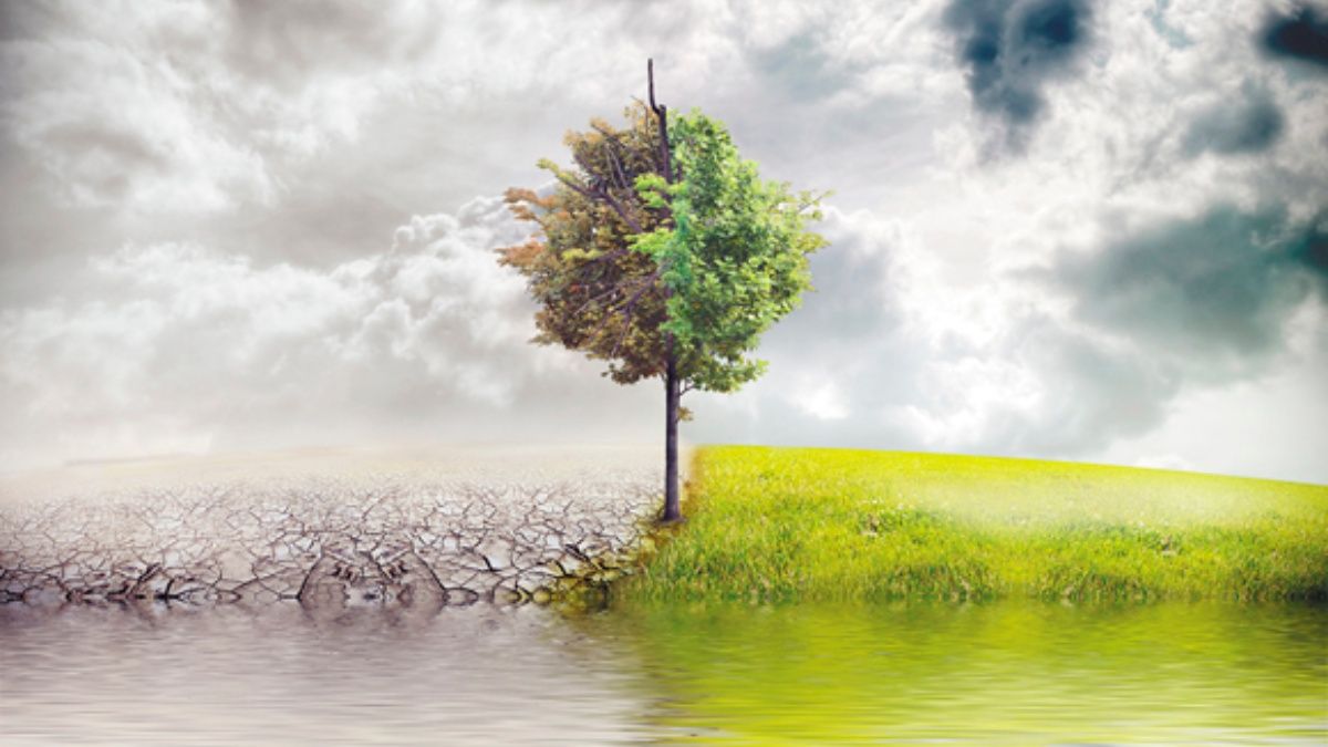 Freidora De Aire O Microondas: El Impacto En El Medio Ambiente Y El Consumo Energético