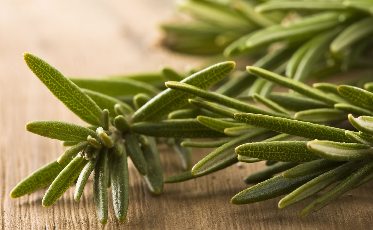 El Ingrediente De Cocina Antiestrés Que Además Mejora Tu Memoria 1 Memoria: Aromas Que Tranquilizan, Descubriendo El Romero