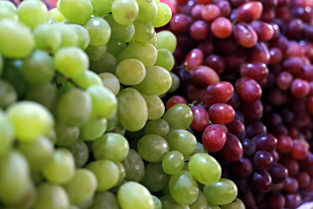 Frutos Que No Soportan El Viento Caliente