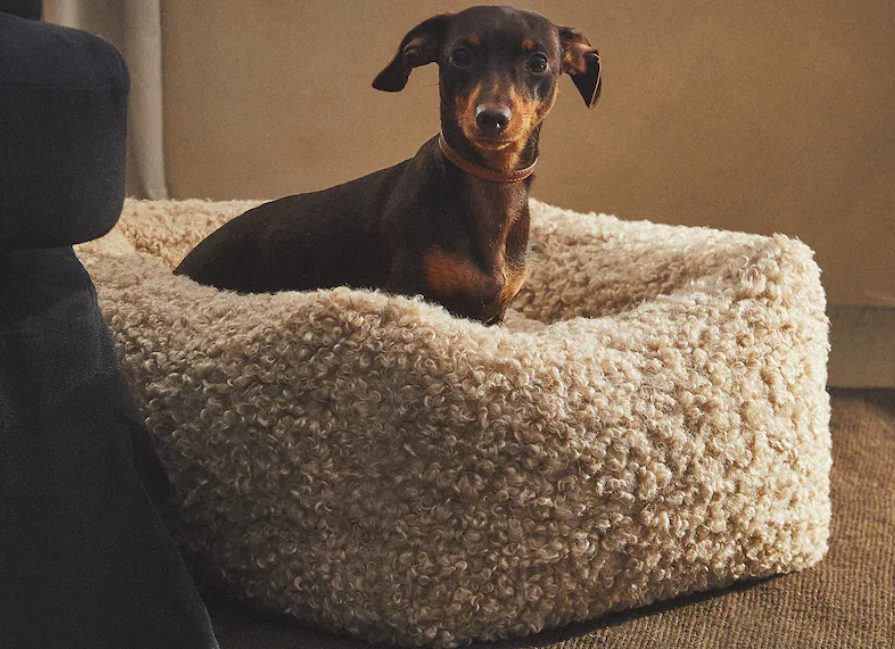 Zara Tiene A Buen Precio Estos 8 Productos De Zara Home Que Encantarán A Las Mascotas