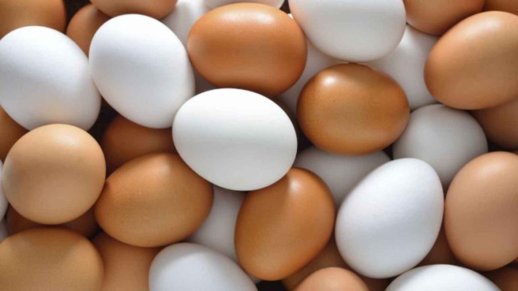 ¿Cuántos huevos se pueden comer a la semana? Responden los expertos de la OCU y la OMS 6 Preocupaciones sobre el contenido de colesterol
