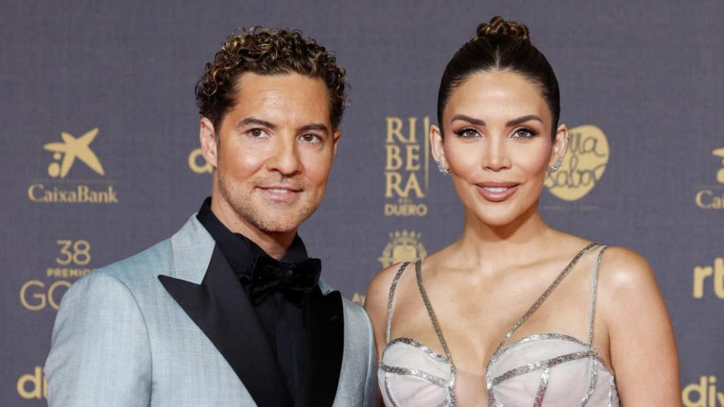 Las Impresiones De David Bisbal Sobre 'Zorra'