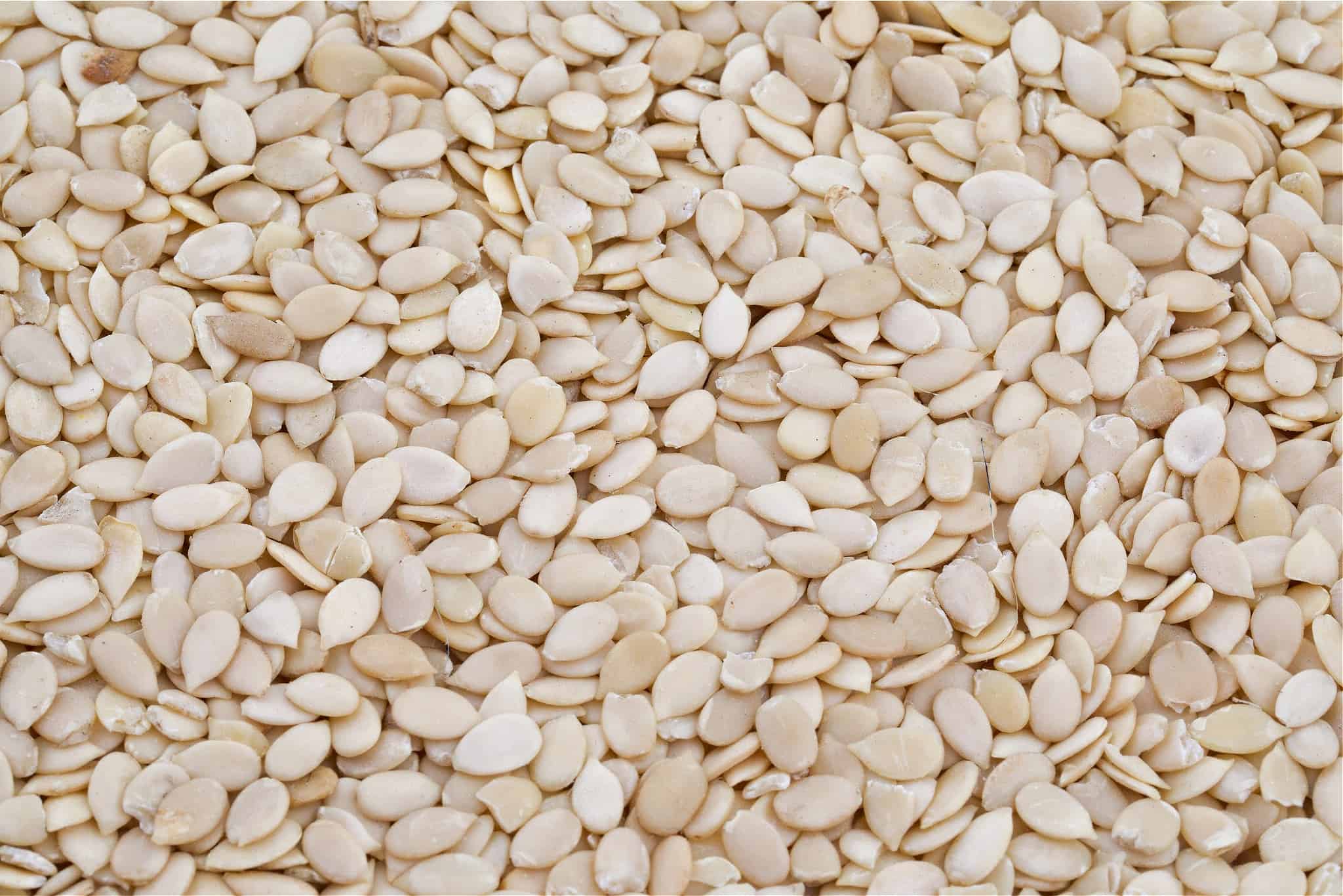 Superalimento: El Egusi Llega A Amazon