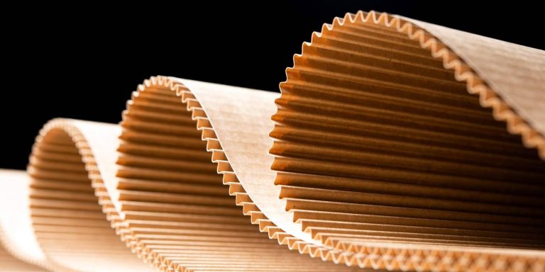 La apuesta por la sostenibilidad, el reciclaje y la biotecnología de South Hemp