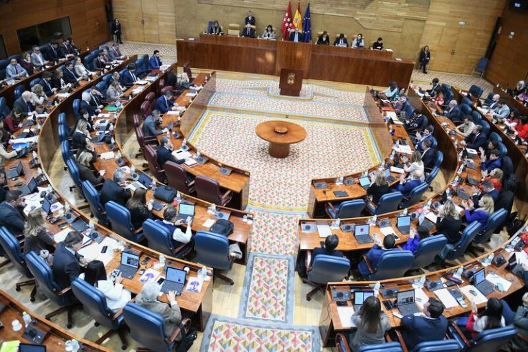 Vox vuelve a llevar a la Asamblea de Madrid el debate del ‘pin parental’