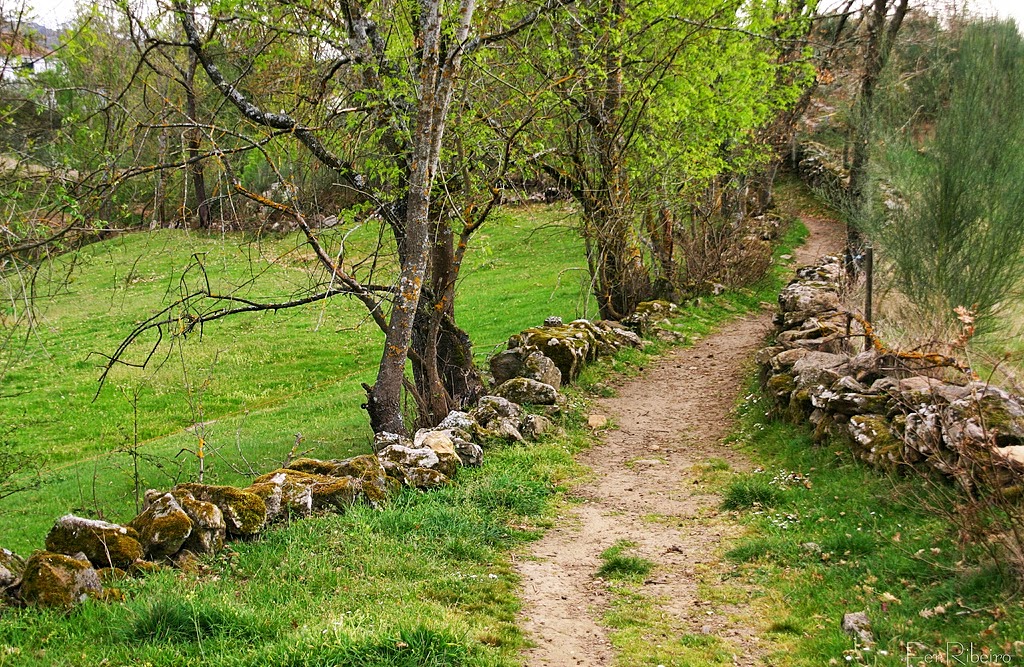 ESPAÑA, COUTO MIXTO: HISTORIA Y ORIGEN