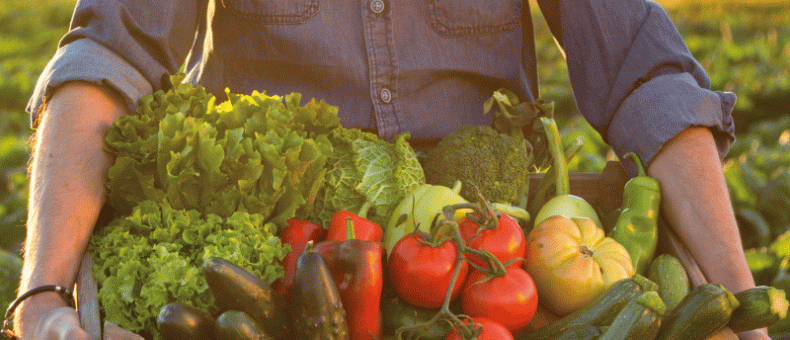 Frutas Y Verduras En Casa.