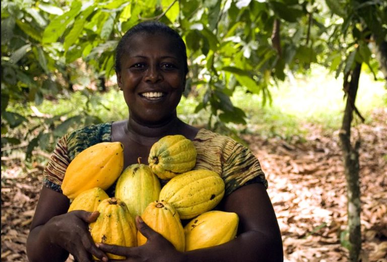 La pesadilla del cacao aumenta el riesgo de la reduflación con el chocolate