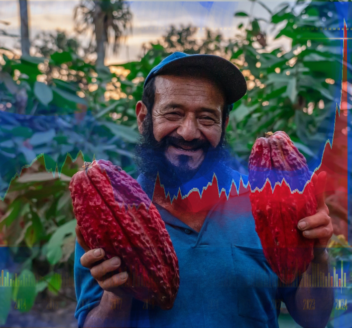 El Precio Del Cacao Se Dispara En Menos De Un Año Fruto De La Especulación Por La Baja Cosecha