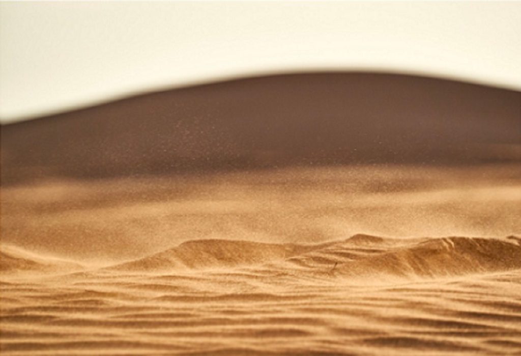 Dune 1