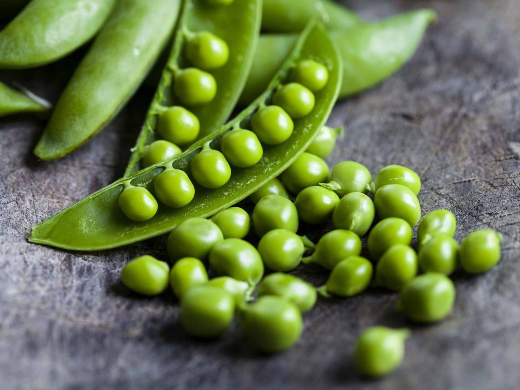 Un pequeño gigante: ¿Por qué los guisantes son tan recomendadas?