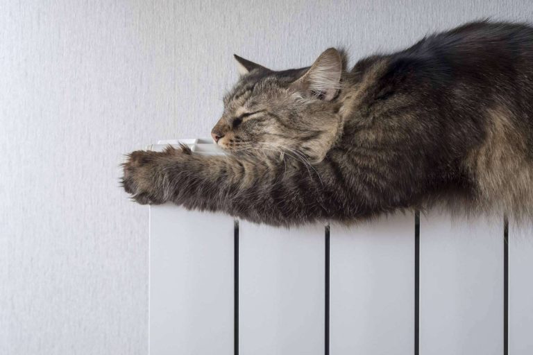Los modelos de calefactores que tienen menor consumo eléctrico