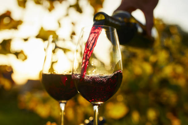 El mejor vino tinto calidad-precio de España según un sumiller