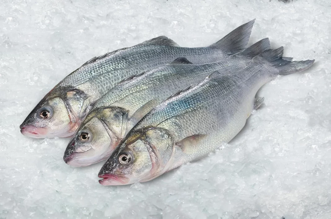 Alternativas seguras: los pescados con menos mercurio