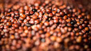 Cómo hacer recetas gourmet con quinoa roja: sabores exquisitos en menos de 30 minutos