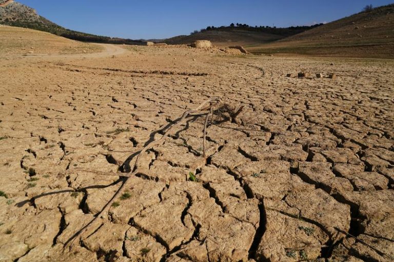 Los ingresos mundiales se reducirán en un 19% hasta 2050 aunque bajen las emisiones de CO2, según un estudio