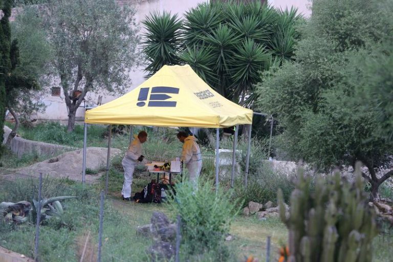 La Policía Nacional regresa a la finca del doble crimen de Manacor (Mallorca) para hacer nuevas comprobaciones
