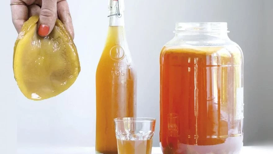 La Revolución De Las Bebidas Fermentadas
