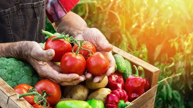 Así Puedes Saber Si Las Frutas O Verduras Tienen Pesticidas No Permitidos