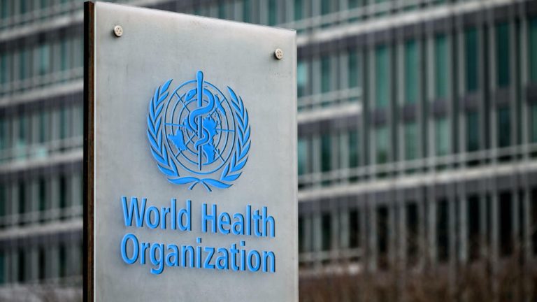 La OMS registra en México la primera muerte humana por gripe aviar en el mundo