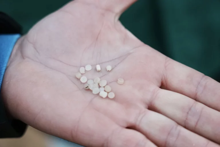 Los análisis concluyen que los pélets aparecidos en Huelva tienen «improbable relación» con vertido de Galicia