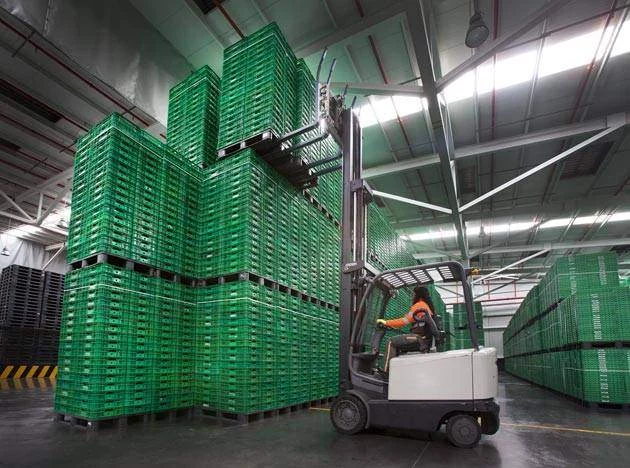 Una Empresa Líder Que Marca El Camino