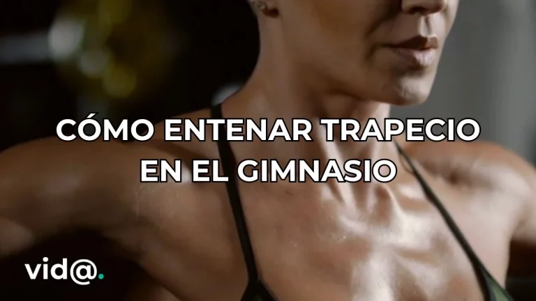 La mejor forma de entrenar trapecio en el gimnasio