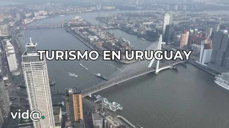 Todo lo que tienes que saber si vas a visitar Uruguay