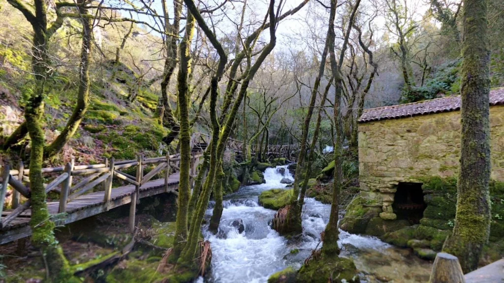 Las Bonitas Cascadas En Las Inmediaciones De Galicia Que Enamoran A Sus Visitantes