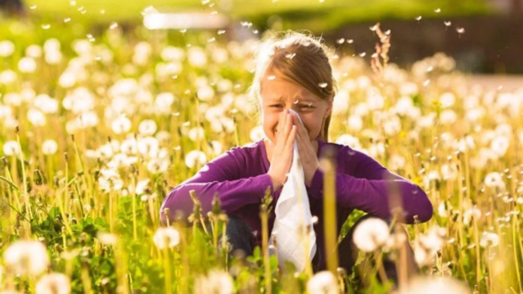 Reconociendo la alergia primaveral: una batalla contra los pólenes