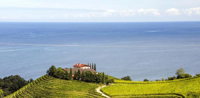 Conoce la ruta del Txakoli, el mejor vino a 20 minutos de Bilbao