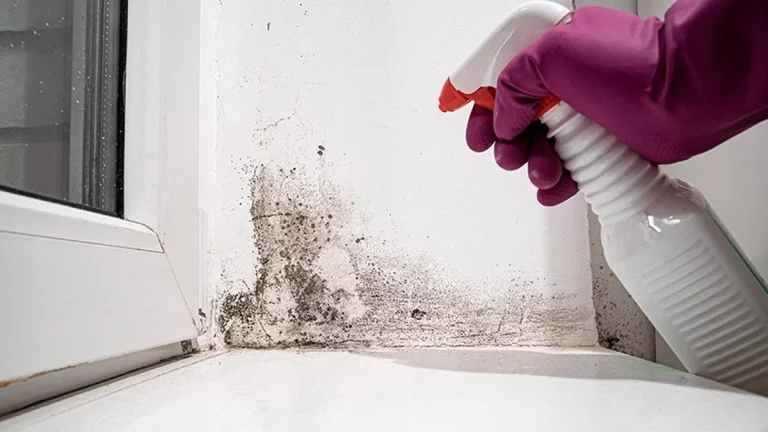Cómo limpiar tu casa en días de humedad: 4 trucos que no pueden faltarte